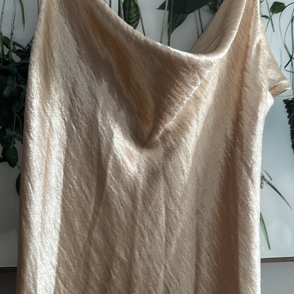 Champagne Dress - Picture 3 of 5